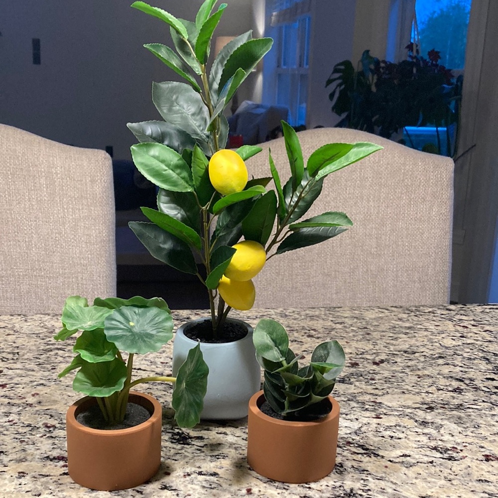 Target Bullseye Playground Faux Plants